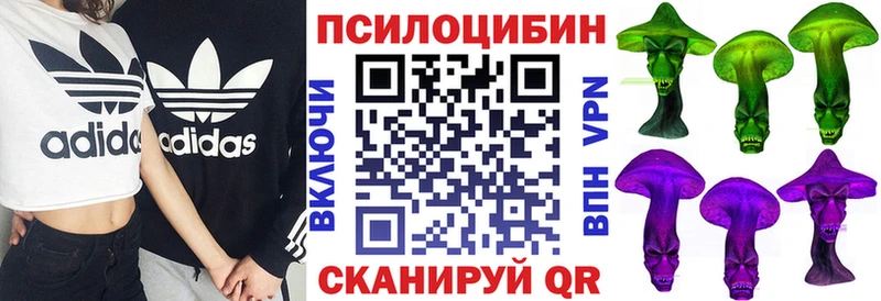 Купить  Северобайкальск  Галлюциногенные грибы Psilocybe 